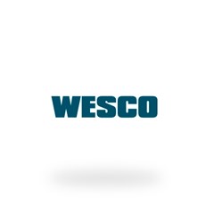 SOPRADOR ELETRICO AR WS8043 600W 127V WESCO