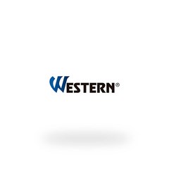 CHAVE ALLEN 9PC LONGA 5181 WESTERN