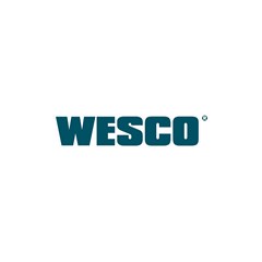 PLAINA ELETRICA 900W WS5343 127V WESCO