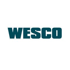 SERRA TICO-TICO 850W WS3777 127 WESCO