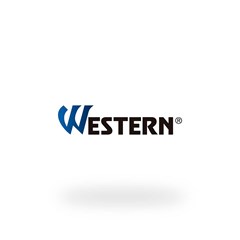 LANTERNA RECARR 127/220V C/12 LEDS WESTERN