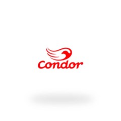 ESPATULA PLASTICA LISA 20 858 CONDOR